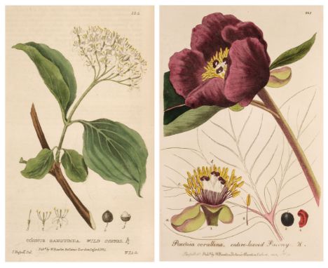 Baxter (William). British Phaenogamous Botany; or Figures and Descriptions of the Genera of British Flowering Plants, 6 volum
