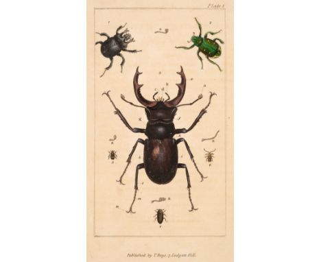 Samouelle (George). The Entomologist's Useful Compendium; or an introduction to the knowledge of British Insects, 1st edition