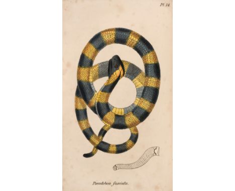 Stephenson (John). Medical Zoology, and Mineralogy; or illustrations and descriptions of the animals and minerals employed in