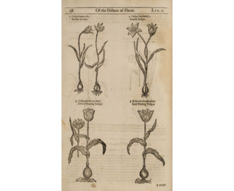 Gerard (John). [The Herball or Generall Historie of Plantes..., enlarged and amended by Thomas Johnson, London: Printed by Ad
