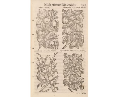 Mattioli (Pietro Andrea). Commentarii Secundo Aucti, in Libros sex Pedacii Dioscoridis Anazarbei de Medici Materia. Adiectis 
