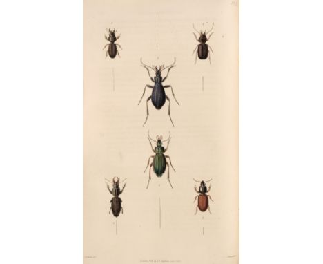 Stephens (James Francis). Illustrations of British Entomology; or a Synopsis of Indigenous Insects: Containing their generic 