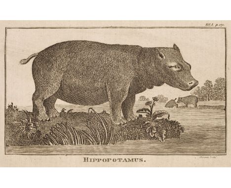 Buffon (Georges-Louis Marie Leclerc, Comte de). The System of Natural History, written by M. de Buffon, carefully abridged:: 