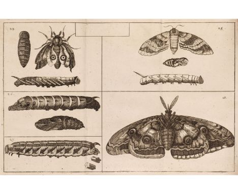 Goedart (Johannes). De Insectis in methodum redactus, cum notularum additione. Opera M. Lister, e Regia Societate Londinensi.