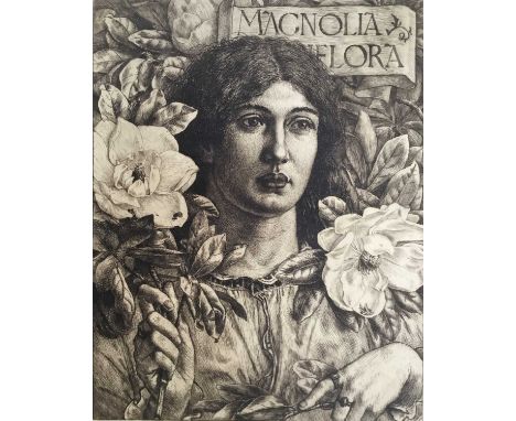George Woolliscroft Rhead (1855-1920) etching - Magnolia Grandiflora, 1878, 26cm x 20cm, unframed