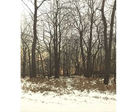Phil Greenwood (b. 1943) pair of signed limited edition etchings and aquatints - Forest Light and Water Light, 53cm x 47cm, i