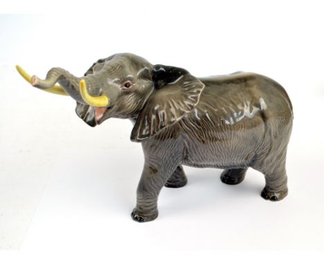 A Beswick figure of 'Elephant-Trunk Stretching-Large', model no.998.   CONDITION REPORT:  Small areas of shallow chips to the