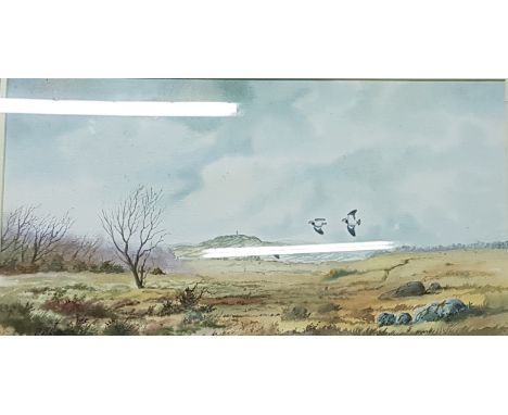 R B HIGGINS - WATERCOLOUR - SCRABO TOWER FROM MINEHEADS