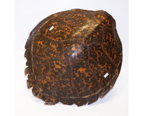 Vintage tortoise shell (as inspected). NOTE: Export of this item is not permitted.