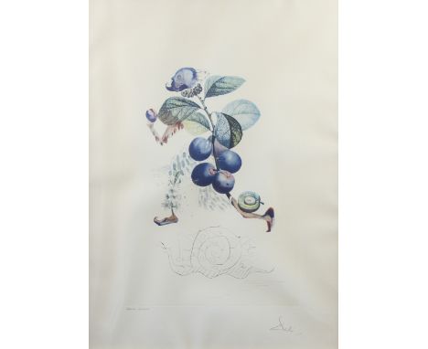 Dali, Salvador (Figueras 1904 - 1989 Figueras)Kaltnadelradierung über Farblithographie "Prunier hatif" (Überreifer Pflaumenba