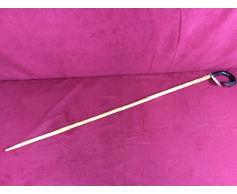 A walking stick with ebony bird's head handle
