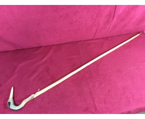 A walking stick with carved horn bird's head handle