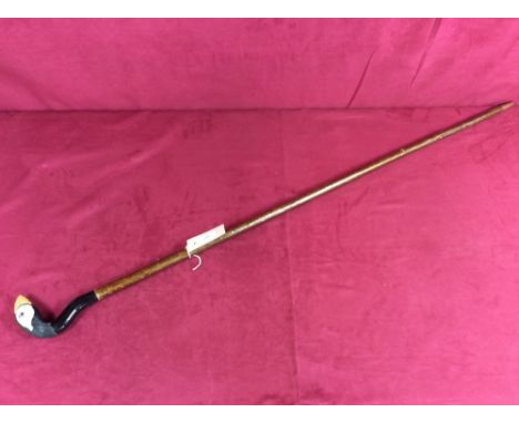 A walking stick, the carved handle decorated with a puffins head