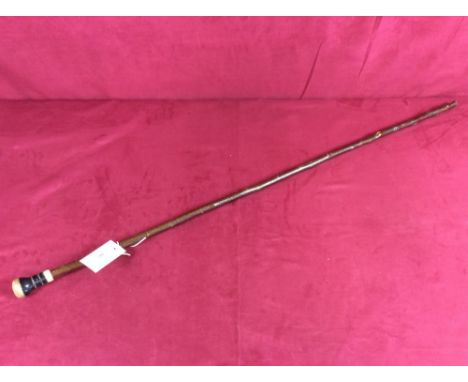 A walking stick with turned handle