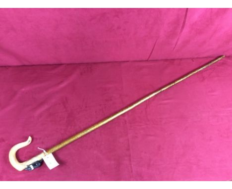 A walking stick, the horn handle decorated with a lying sheep dog