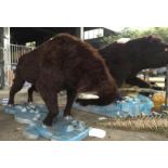 Animatronic Bison, Dimensions Approx. Height 2.3m, Length 4.5m, Gross Weight 267kg. Constructed from