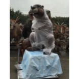 Giant Beaver standing on a rock, Approx. Width 2m, Approx. Base 0.6m, Gross Weight 105kg,