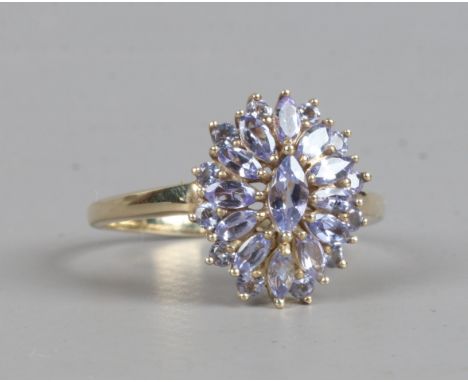 A 9ct gold and tanzanite ring in oval cluster setting, size V.