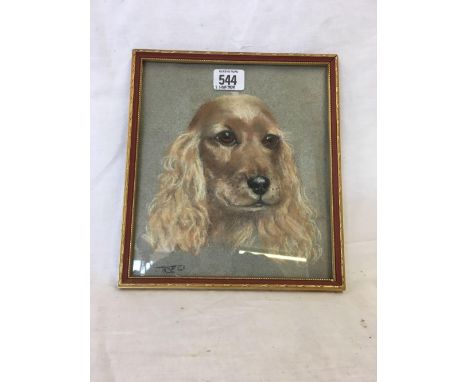 GOOD PASTEL HEAD &amp; SHOULDERS PORTRAIT OF A COCKER SPANIEL, INDISTINCTLY SIGNED WITH INITIALS, WITH MEDICI SOCIETY GALLERY