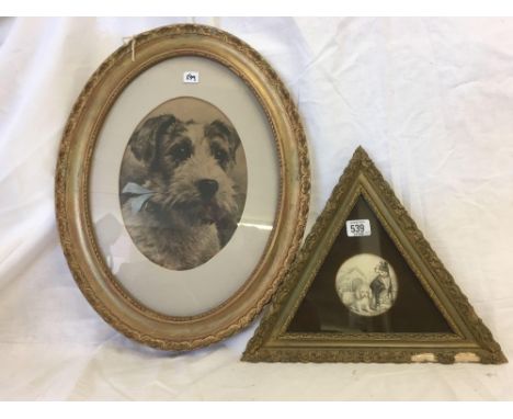 HAND-COLOURED ENGRAVING OF TWO DOGS BESIDE A KENNEL, CIRCULAR, WITHIN TRIANGULAR FRAME &amp; WITH VELVET MOUNT.  TOGETHER WIT