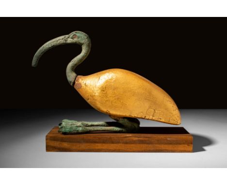 Late Period, Ca. 664 - 332 BC A stunning Egyptian ibis depicted seated with a sinuous neck and long bill. The body is sculpte