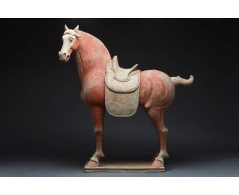 Ca. AD 618 – 907 A fine Chinese terracotta horse. It is depicted standing upright, with a saddle cloth and a seat on the back