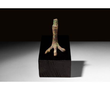 Ca. 1550 - 1069 BC An Egyptian cast bronze statuette depicting the leg of Horus as a falcon. The details of the skin and claw