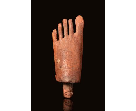 Ca. 664 - 632 BC An Egyptian, late period fragment of a wooden foot that likely belonged to a medium-sized statue. The foot i