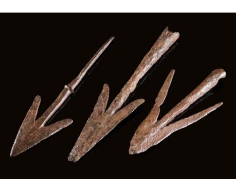 Ca. AD 900 - 1200 A set of three iron arrowheads of varying shapes and sizes, all covered in a rich russet-brown patina. The 