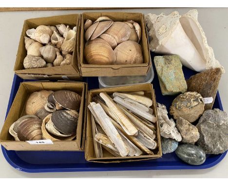 Mixed Lot: Various assorted sea shells, mineral samples etc