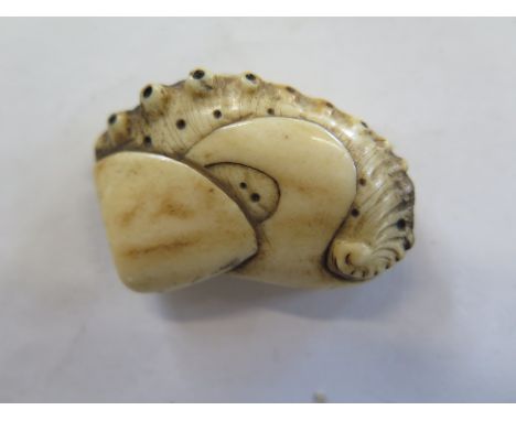 A 19th Century carved antler Netsuke - 5cm x 3cm - in good condition 