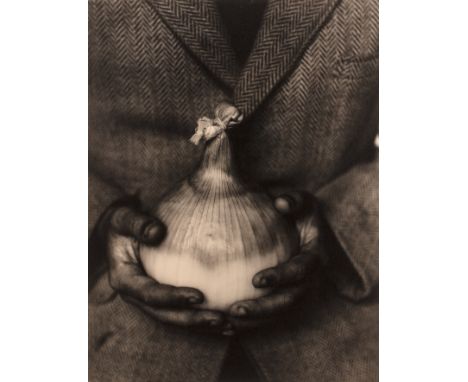 Tessa Traeger (b.1938)Mammoth Improved Onion, North Devon, 1990signed and dated (to reverse)gelatin silver print, gold toned4