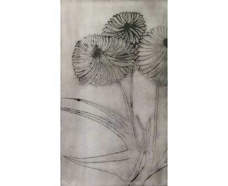 Van Putten (20th Century), Exotic Flowers, signed, dated 65, titled and numbered in pencil, etching, 49 x 28cm, together with