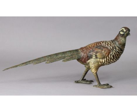 A late 19th/early 20th century Austrian large cold-painted model of a pheasant, in the manner of Bergman, 50cm long x 23cm hi
