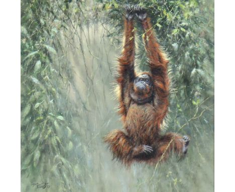 TONY FORREST (b. 1961).  “Swinging Borneo”, signed lower left &amp; inscribed verso, oil on canvas, 61cm x 61cm, framed (86.5