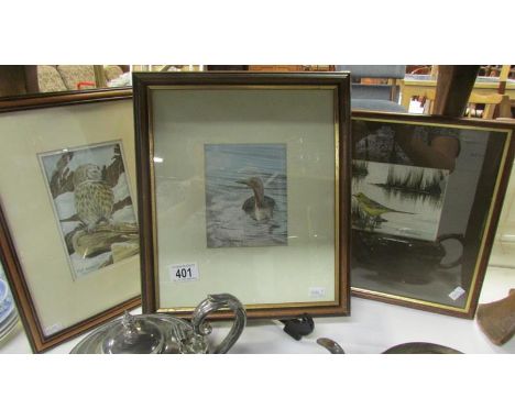 3 watercolours by R Massey of various birds