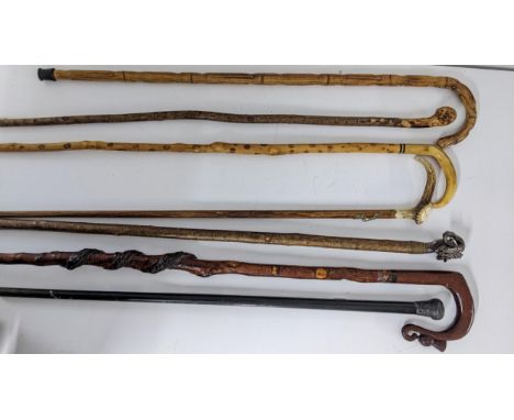 Seven walking sticks to include a root carved stick, horn handled stick, Victorian silver topped stick, and others Location: 