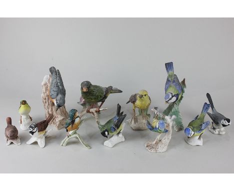 Twelve Goebel porcelain models of birds, including Blue Titmouse, Nuthatch, Crested Tit, and Greenfinch