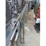 Straight Section of Conveyor Between Bottle Drop and Filler/Capper, Approx. 3.25" Be | Rig Fee $300