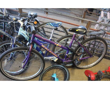 Raleigh m20 hot sale purple