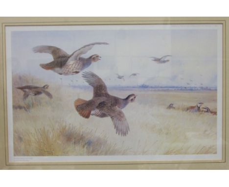 After A Thorburn, 'Grouse in a landscape', a limited edition coloured print, no.182/400, 30 x 48cm.
