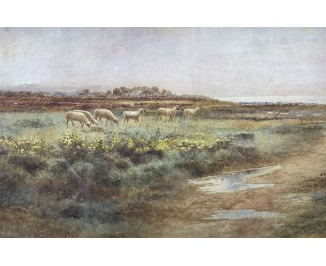 Arthur Wilkinson (British 1860-1930): Sheep on Fenland, watercolour signed and dated '89, 35cm x 53cm 