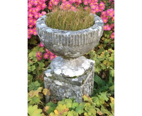 A stone pedestal garden urn:, the circular bowl with a fluted border, on circular socle, on a later square pedestal with loze