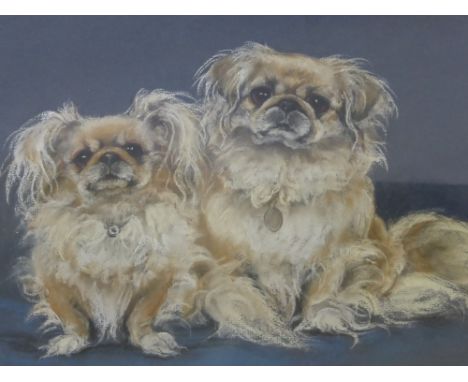 Marjorie Cox (British, 1915-2003) entitled 'Mimi and Chan' dated 1965 signed lower right, a pastel portrait of two Pekinese a