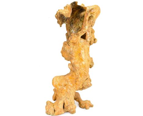 A large decorative tree root sculpture with a polished patina, approx. 95 x 50cm.