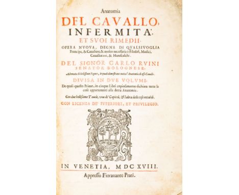 Ruini Carlo. Anatomia del cavallo, infermità et suoi rimedii. Opera nuova, degna di qualsivoglia Principe, & Cavaliere, & mol