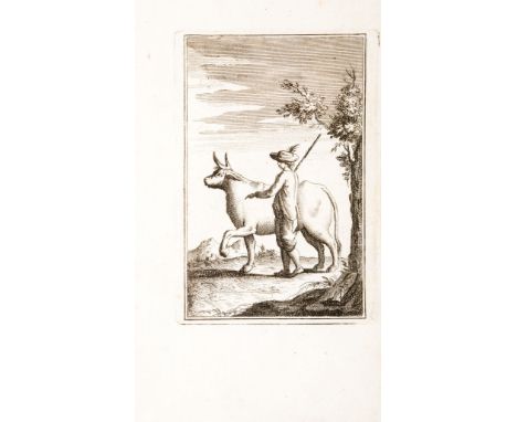 Boutrolle J. G. Il perfetto boaro o sia instruzione concernente la cognizione de' buoi, e delle vacche, della loro età, delle