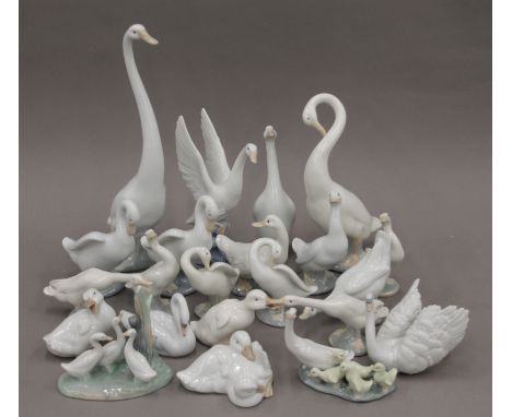 A collection of Lladro and NAO porcelain swans. The largest 34 cm high.
