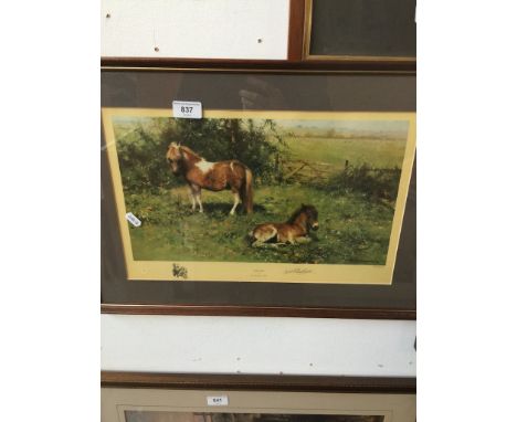 David Shepherd signed print 'Shelties' 