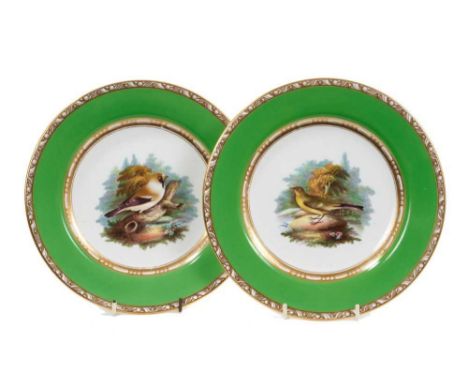 A pair of Spode ornithological plates, circa 1815-20, polychrome painted on a green and gilt-patterned ground, inscribed mark